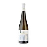 Sauvignon Blanc 2023